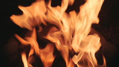 Melody of Love Bild 1