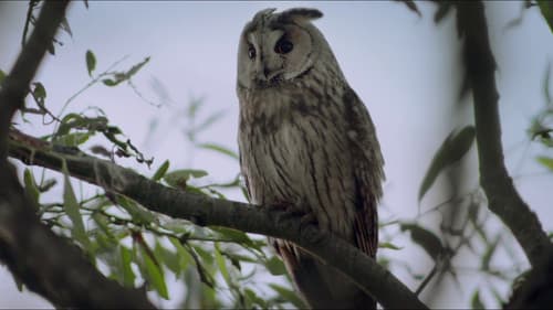 Fred Jüssi. Olemise ilu Bild 4