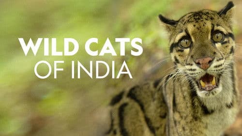 Wild Cats of India Bild 3