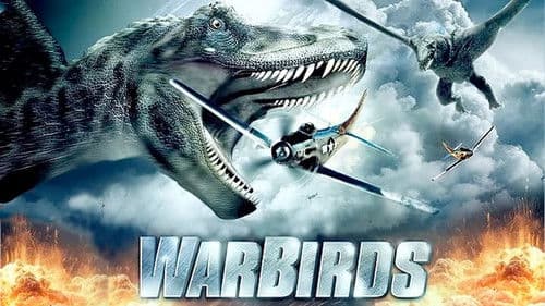 Warbirds - Drachen des Todes Bild 1