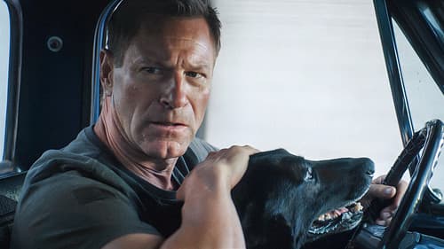 Muzzle: City of Wolves Bild 3