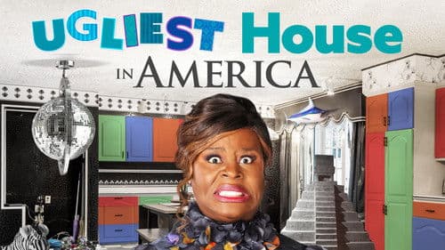 Ugliest House in America Bild 5