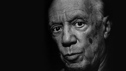 Picasso's Last Stand Bild 1