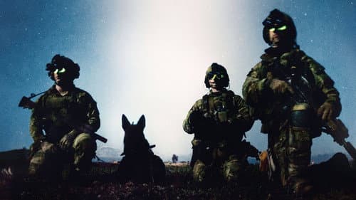 War Dog: A Soldier's Best Friend Bild 3