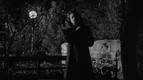 Katzenmenschen Bild 3