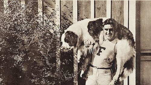 Help! Help! Police! Bild 1