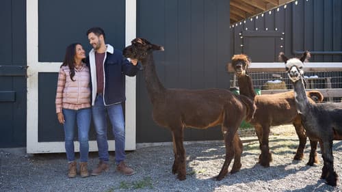 Christmas Under the Lights Bild 3