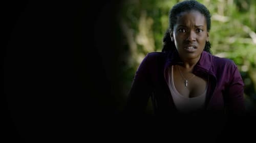 Don't Look Back Bild 3