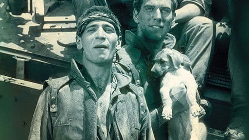 שתי אצבעות מצידון Bild 2