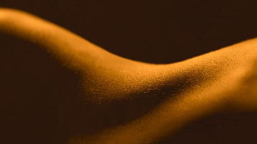 Sex, Explained Bild 2