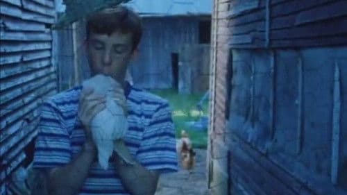 Fishbelly White Bild 2