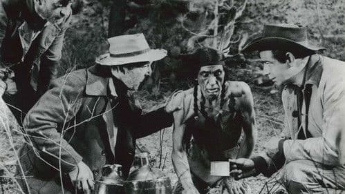 Der weiße Teufel von Arkansas Bild 4