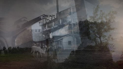 Fordlândia Panacea Bild 1