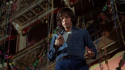 Vier Fliegen auf grauem Samt Bild 2