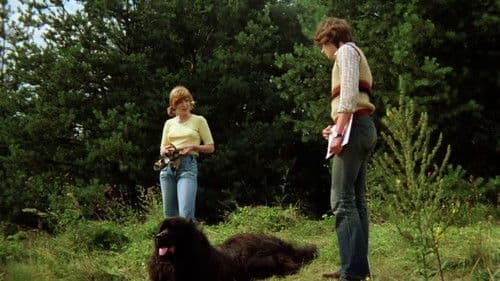 Sieben Sommersprossen Bild 7