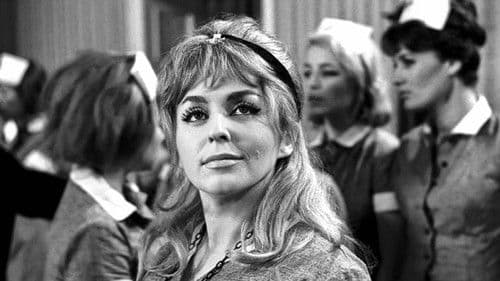 Die Sommerhitze Bild 3