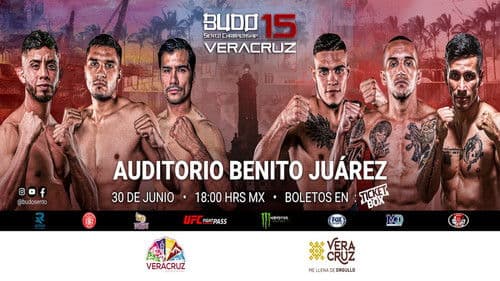 Budo Sento Championship 15 Bild 1