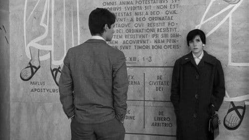 Os Verdes Anos Bild 2