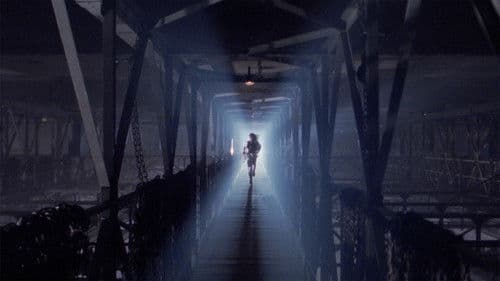 Too Beautiful to Die Bild 2