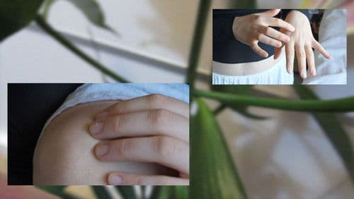 iarna cuvintele mele hibernează Bild 1