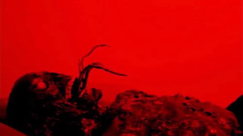 South Mill District Bild 3