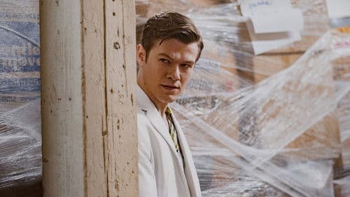 The Collective Bild 2