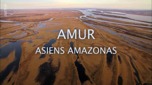 Amur: Asiens Amazonas Bild 1