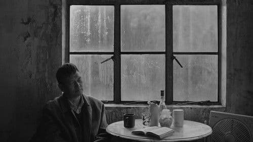 伤寒杂病论 Bild 3