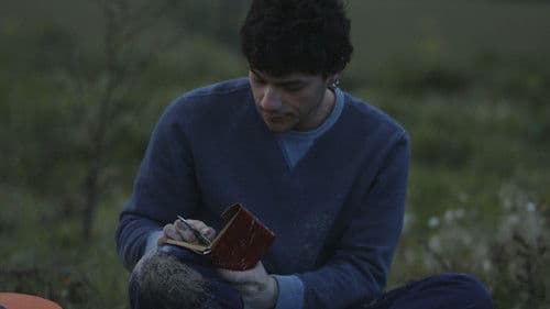 La Ballata di Francesco Bild 1