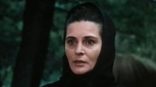 Žolės šaknys Bild 1