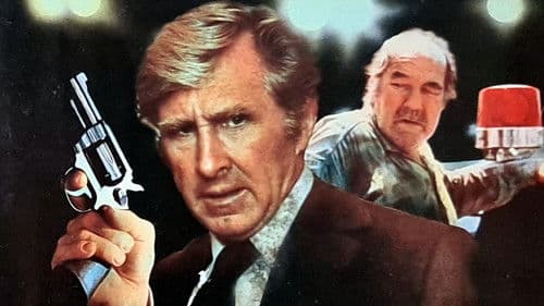 A Tattered Web Bild 1