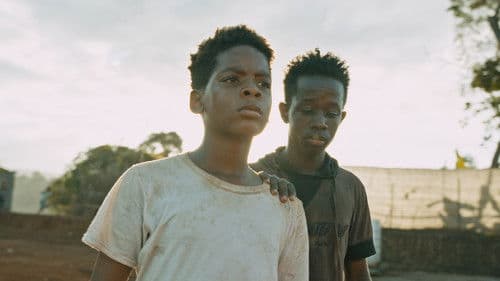 Tropique de la violence Bild 8