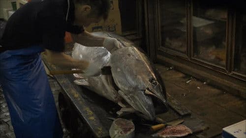 Ants on a Shrimp Bild 2