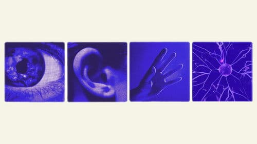 True Believers Bild 1