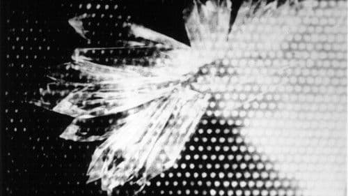 Cinq minutes de cinéma pur Bild 2