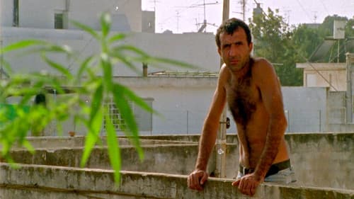 מצב החסה Bild 2