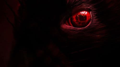 The Vermin Within Bild 1