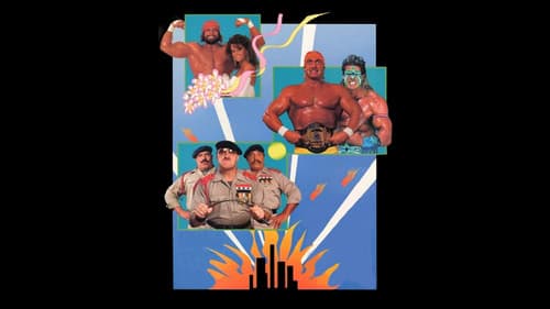 WWE SummerSlam 1991 Bild 1
