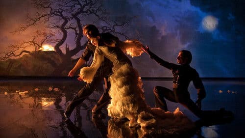 Flamenco Flamenco Bild 7