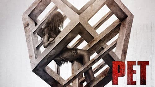 PET: Wenn du etwas liebst, lass es nicht los Bild 5