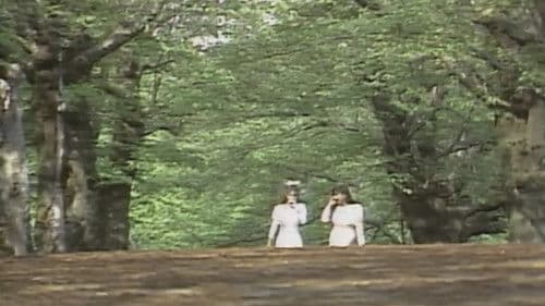 赤い報告書２　密室の淫戯－ホテトル嬢殺人事件－ Bild 6