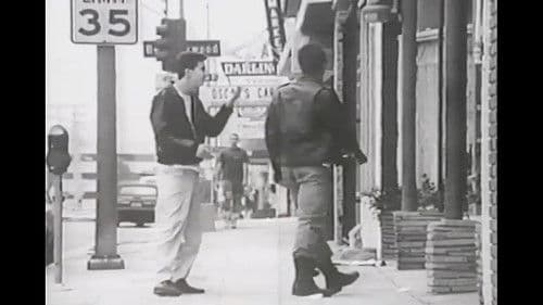 The Natural History of Parking Lots Bild 1