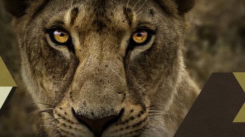 Malika the Lion Queen Bild 3