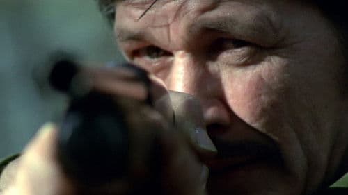 Brutale Stadt Bild 1