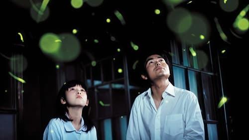 Tanz der Glühwürmchen Bild 1