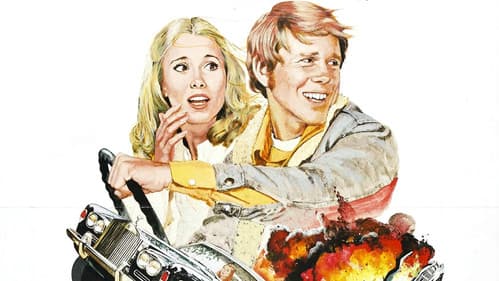 Gib Gas... und laßt euch nicht erwischen Bild 2