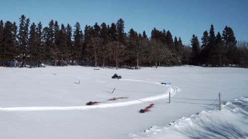 Wrong Turn 4: Bloody Beginnings Bild 4