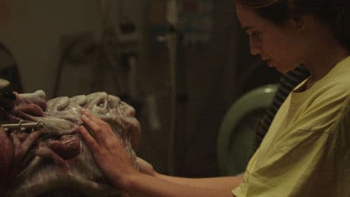 La machine d'Alex Bild 3