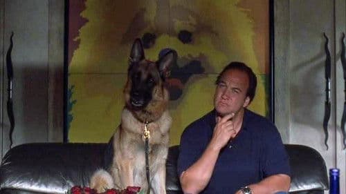 Mein Partner mit der kalten Schnauze 3 Bild 5