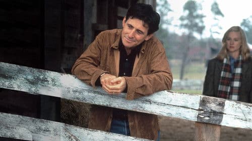 Der Zufalls-Dad Bild 7